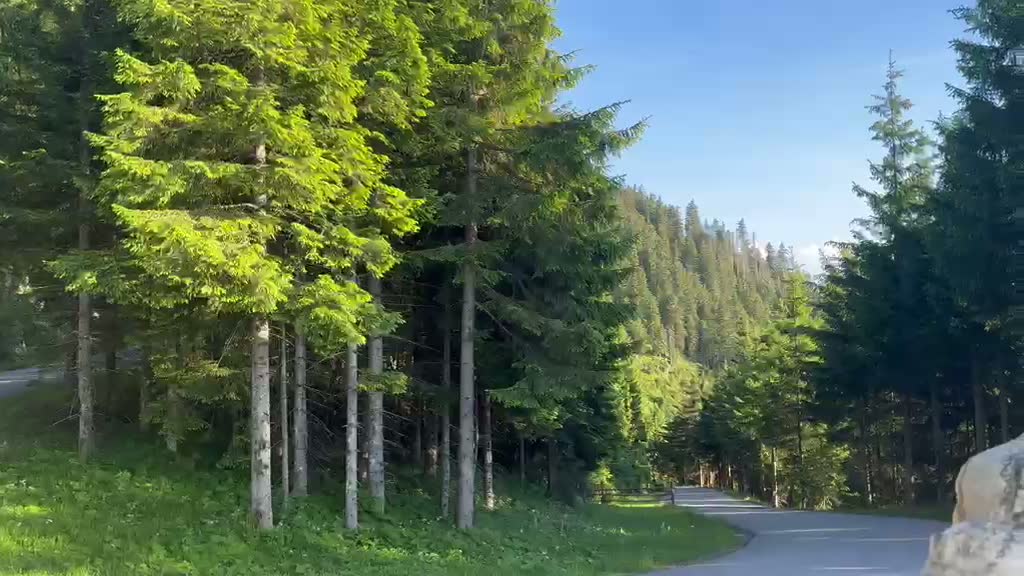 Bergstraße & Waldrunde