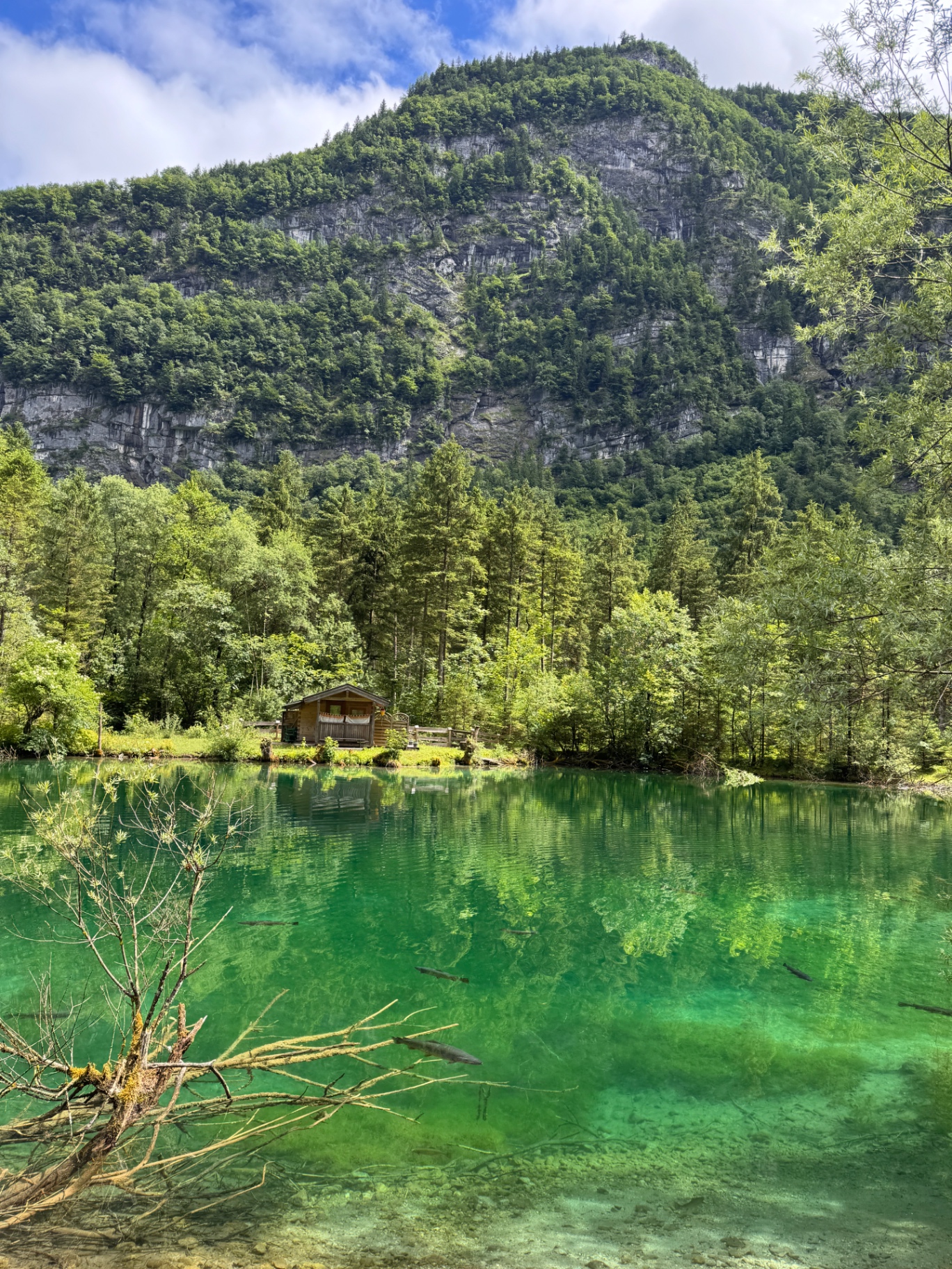 Bluntausee Genuss Tour — Bild 3