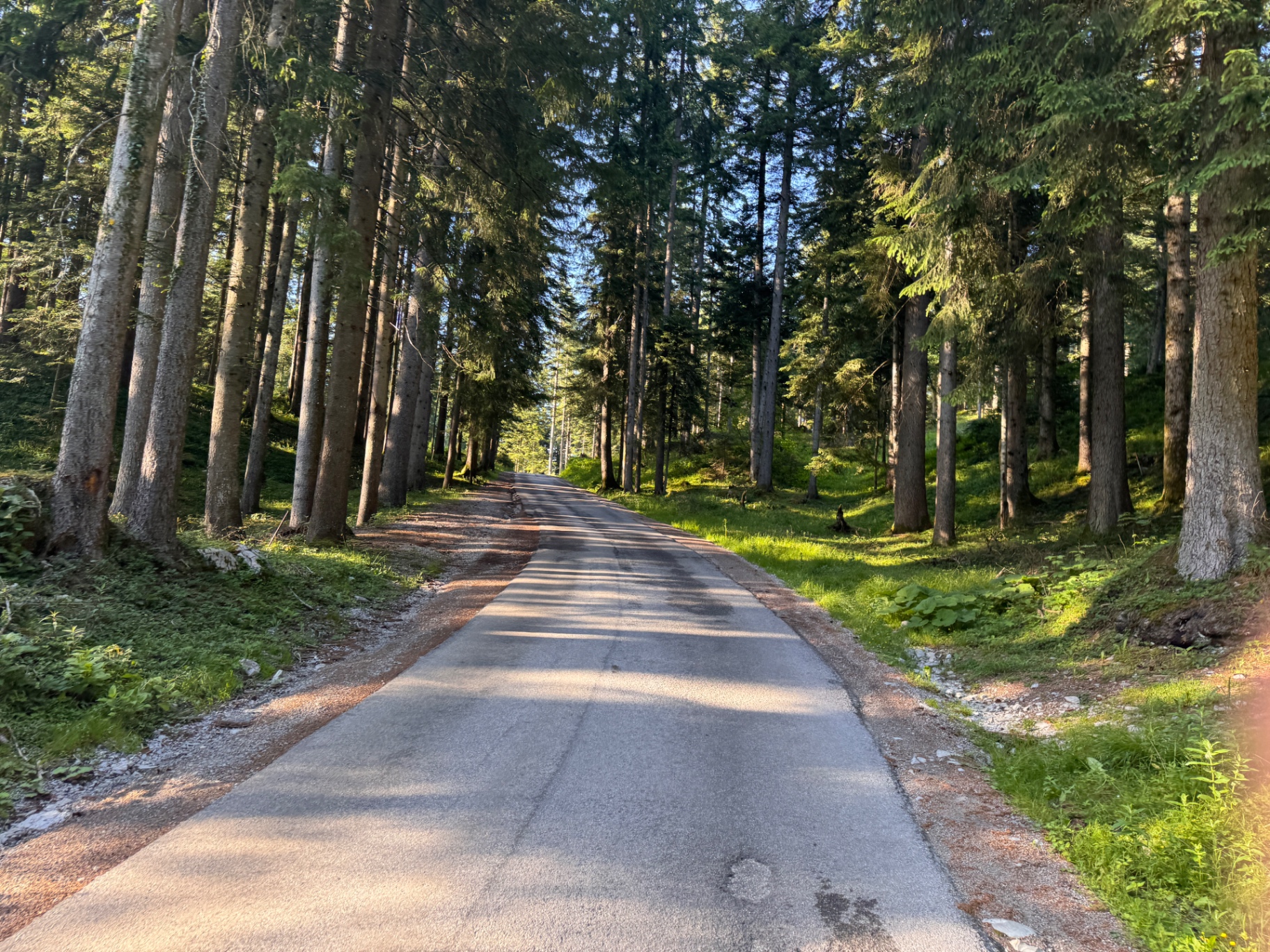 Trattberg Panorama Tour — Bild 4