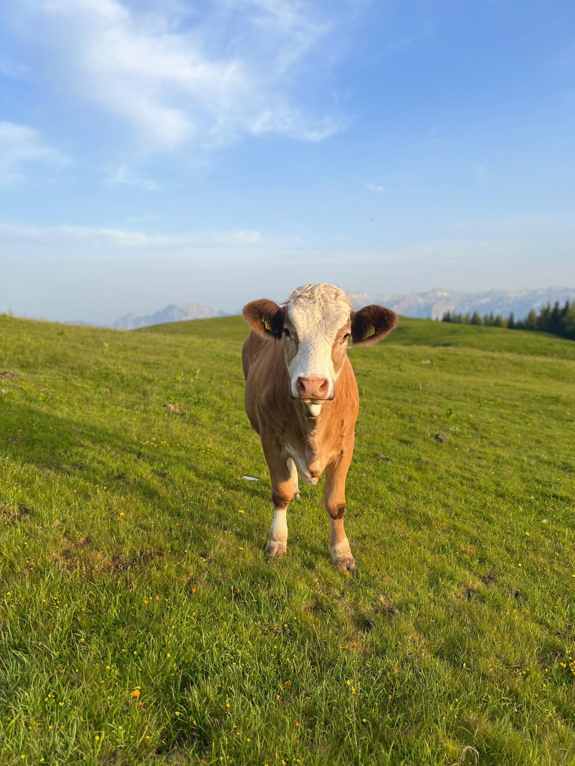 WhatsApp Bild 2025-10-24 um 22.52.19_2aa1fd27